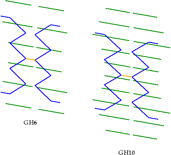 Schematic of the GH6 and GH10